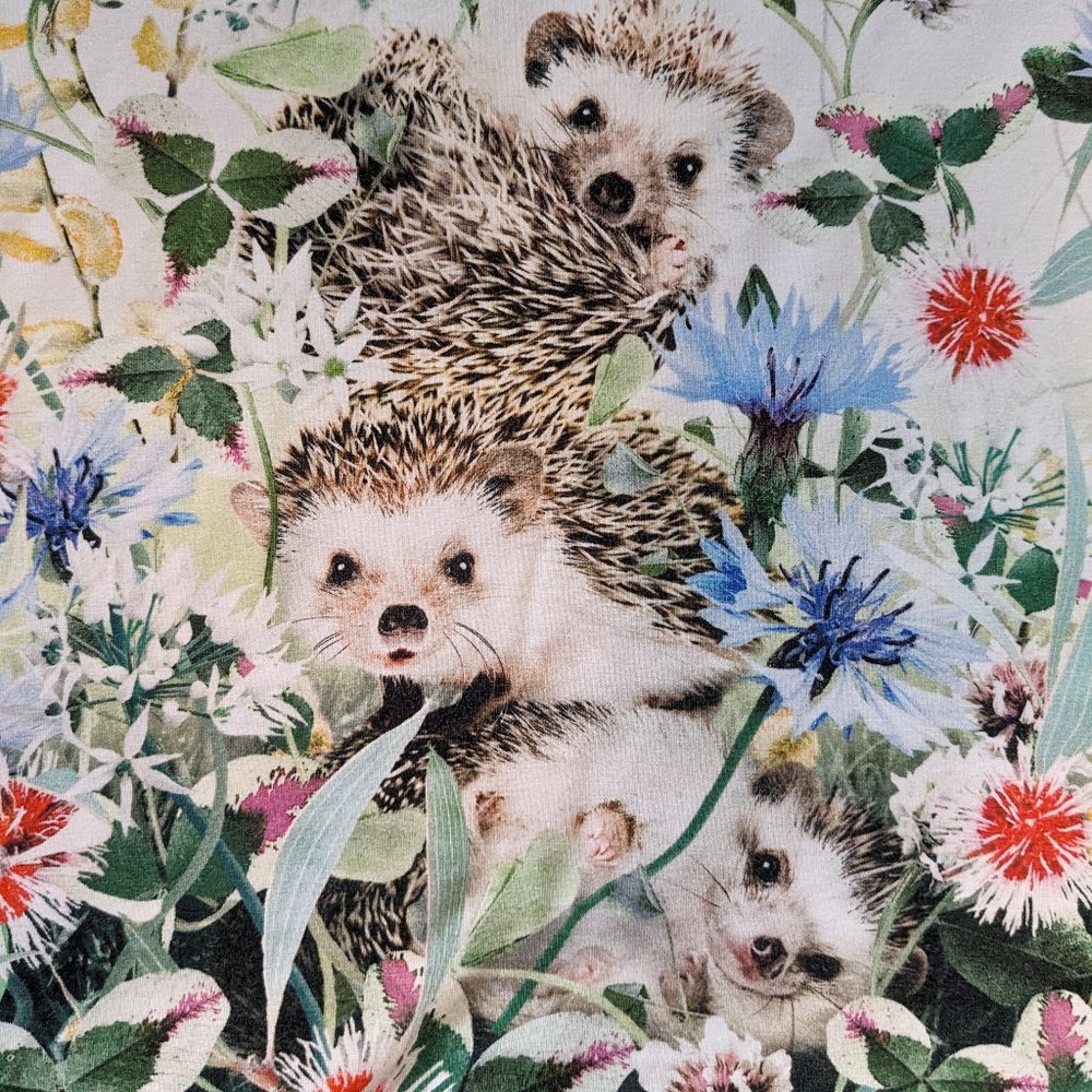 Molo Porcupine Wildflowers Tee in sz 10 yrs